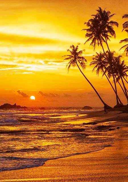 Sri Lanka Beach Tours