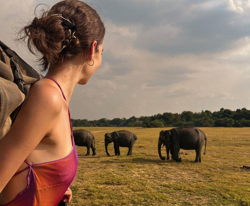 Sigiriya dambulla and Minneriya one day tour
