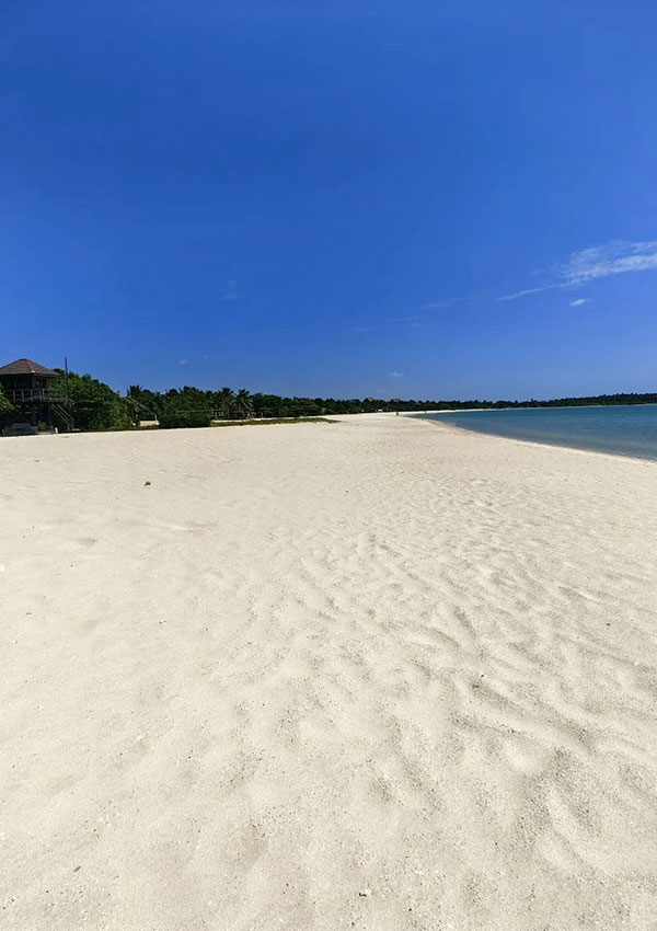 Colombo Airport to/from arugam bay transfer service